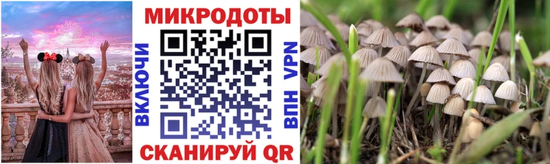 blacksprut зеркало  Дрезна  Псилоцибиновые грибы Psilocybine cubensis  даркнет сайт 